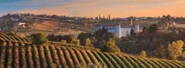 Meet and greet – Barolo and friends aftertasting!